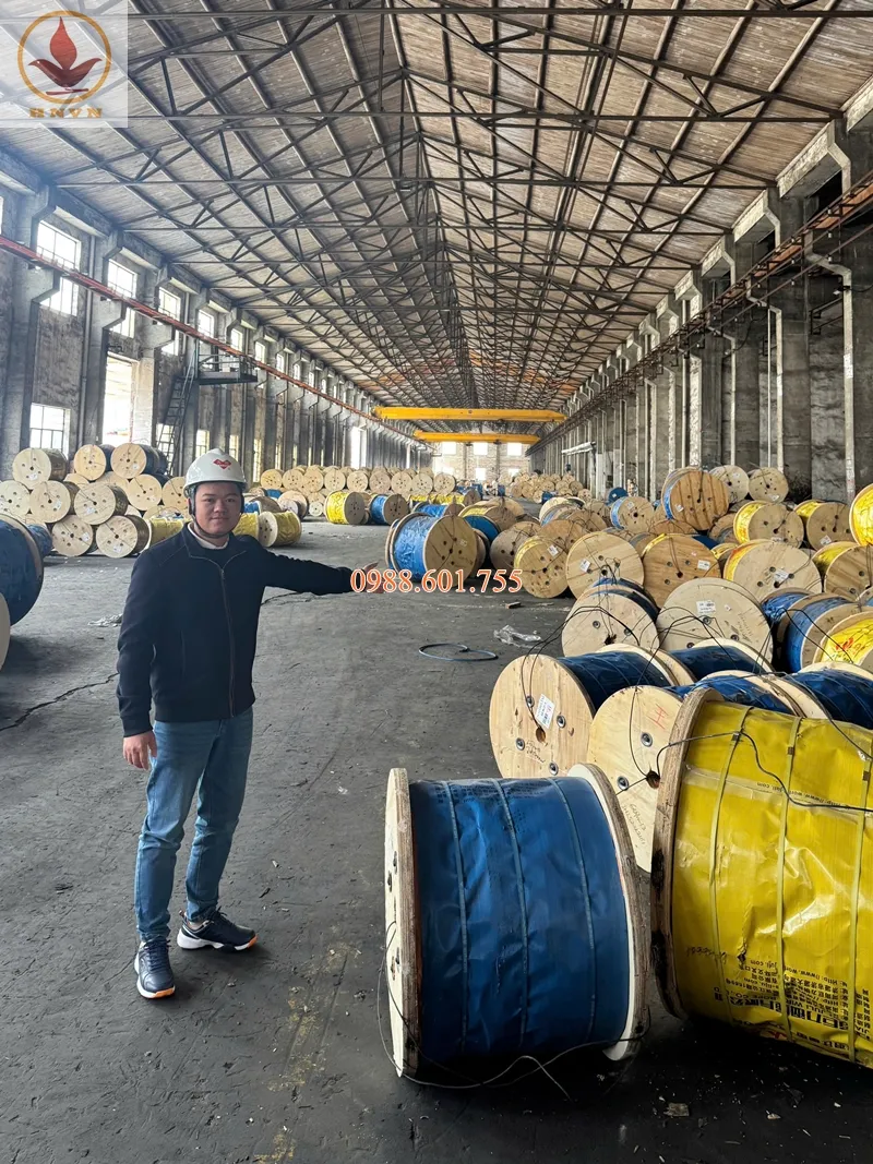 Ký kết hợp tác chiến lược cáp thép cho thiết bị nền móng